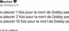 Les meilleures réactions à la rediffusion de Harry Potter et les Reliques de la Mort - partie 1 sur TF1 (50 tweets)