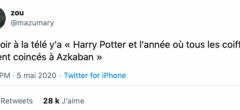 Les meilleures réactions à la rediffusion de Harry Potter et la Coupe de Feu sur TF1 (50 tweets)