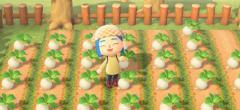 Animal Crossing New Horizons : les joueurs optent pour des solutions intrigantes pour stocker leurs navets