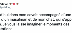 Top 20 des tweets les plus drôles sur les vegans, posez-moi ce steak