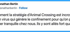 Top 20 des tweets les plus drôles sur Animal Crossing, la star des confinements