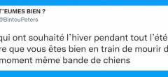 Top 20 des tweets les plus drôles sur l'hiver, la saison la plus sous-cotée