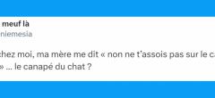 Top 20 des tweets les plus drôles sur les canapés, nos deuxièmes lits