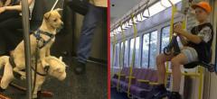 WTF : 55 photos qui prouvent qu'il se passe des choses complètement dingues dans les transports en commun