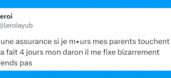 Top 20 des tweets les plus drôles sur les assurances, bonjour l'arnaque