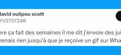 Top 20 des tweets les plus drôles sur WhatsApp, stop aux discussions de groupe