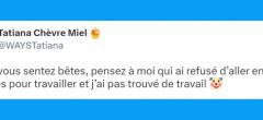 Top 20 des tweets les plus drôles sur les gens bêtes, posez votre cerveau