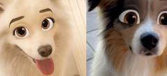 Ce nouveau filtre Snapchat transforme les chiens en personnages Disney (30 photos)