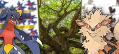 14 arbres généalogiques de familles de Pokémon qui mériteraient de figurer au programme de SVT