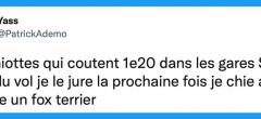 Top 30 des meilleurs tweets sur les WC, parfait pour passer le temps sur le trône