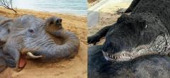 27 sculptures de sable si réalistes qu'elles semblent tout droit sorties d'un documentaire animalier (PARTIE 2)