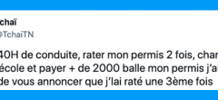 Top 20 des tweets les plus drôles sur les auto-écoles, on se prépare au permis de conduire