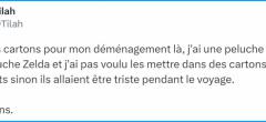 Top 20 des tweets les plus drôles sur les déménagements, on ne peut compter sur personne