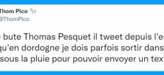 Top 20 des tweets les plus drôles sur les jardins, la nature à portée de main