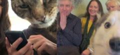 Ces 26 animaux sont les rois pour gâcher vos photos