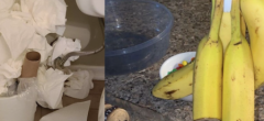 Ces photos vont rendre fous les maniaques de la propreté et de l'ordre