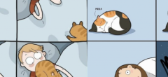 Ces 27 BD vont forcément parler aux propriétaires de chats