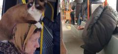 WTF : 35 choses bizarres et drôles croisées dans les transports en commun lituaniens