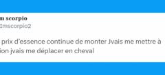 Top 20 des tweets les plus drôles sur les chevaux, galopez vers l'humour