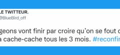 Reconfinement : les internautes envisagent d'être reconfinés avec humour (21 tweets)