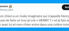 Top 20 des tweets sur les chiens, les meilleurs amis de l'homme (partie 2)