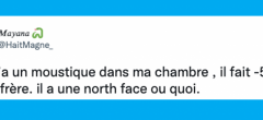 Top 20 des tweets les plus drôles sur les moustiques, on vous déteste