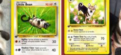 Cette artiste transforme votre animal de compagnie en carte Pokémon