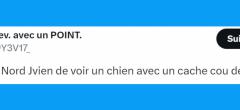 Top 20 des tweets les plus drôles sur Decathlon, pour les sportifs