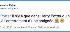 Harry Potter : les 30 meilleurs tweets face à la rediffusion du Prince de Sang-Mêlé sur TF1