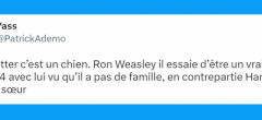 Top 20 des tweets les plus drôles sur Harry Potter, le sorcier surcôté