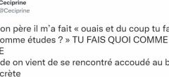 Top 20 des tweets les plus drôles sur les études, le monde du travail est encore si loin