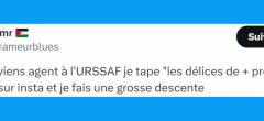 Top 20 des tweets les plus drôles sur l'URSSAF, bande de voleurs