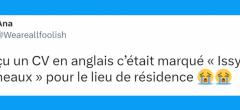 Top 20 des tweets les plus drôle sur les CV, votre avenir est en jeu