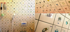 Elle transforme sa salle de bain en un immense Pokédex de 800 Pokémon !