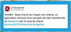 Top tweets spécial canicule : on a trop chaud !