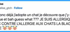 Top 20 des tweets les plus drôles sur les médicaments, pour les grands corps malades