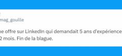 Top 20 des tweets les plus drôles sur LinkedIn, embauchez-nous