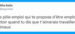 Top 20 des tweets les plus drôles sur Pôle Emploi, l'enfer sur Terre