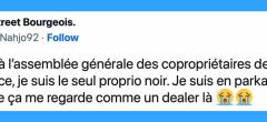 Top 20 des tweets les plus drôles sur les sacoches, le top de la mode