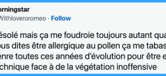 Top 21 des tweets les plus drôles sur les allergies, quand le printemps est un enfer