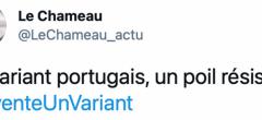 #InventeUnVariant : après le variant breton, ils inventent des variants hilarants (35 tweets)