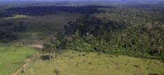 Ce couple a planté 2 millions d'arbres en 20 ans