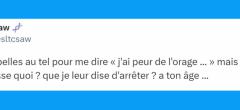 Top 20 des tweets les plus drôles sur les orages, ça va gronder