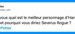 Les meilleures réactions à la rediffusion de Harry Potter et les Reliques de la Mort - partie 2 sur TF1 (40 tweets)