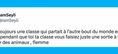 Top 20 des tweets les plus drôles (et mignons) sur les animaux, on ne peut pas se passer d'eux