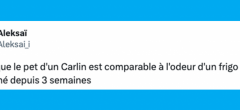 Top 20 des tweets les plus drôles sur les frigos, vive le froid