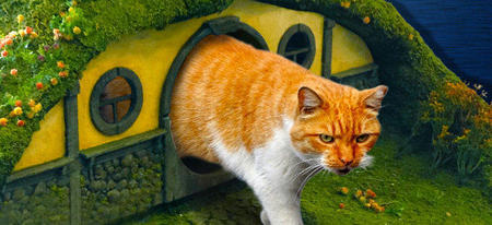 Votre chat peut faire ses besoins chez les Hobbits 