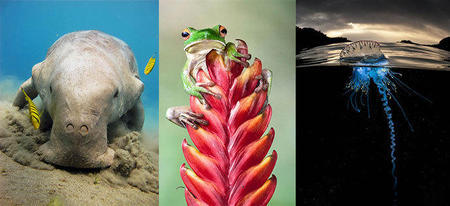 Les 25 plus belles photos du National Geographic Photo Contest 2014