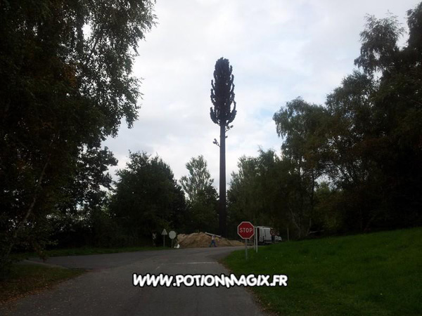Antenne camouflée dans un arbre