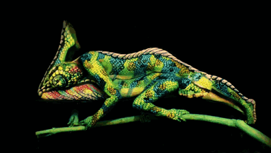 chameleon body paint 3